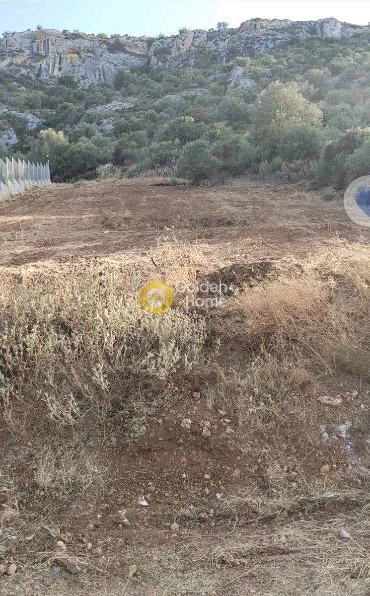 Building Plot in Porto Rafti, Vravrona — Photo 5 of 5