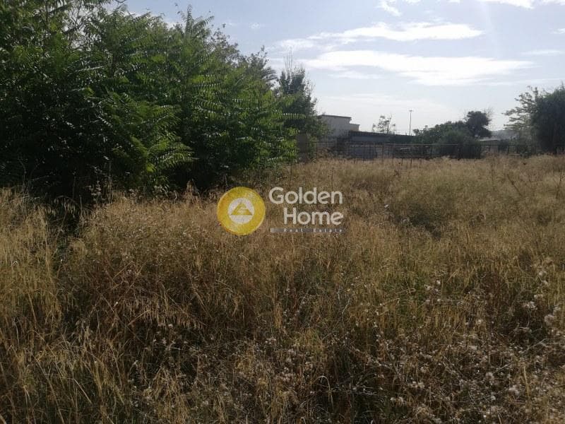 Αγροτεμάχιο στην Λυκότρυπα, Μεταμόρφωση — Φωτογραφία 1 από 3