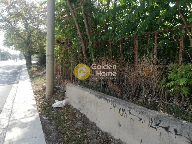 Αγροτεμάχιο στην Λυκότρυπα, Μεταμόρφωση — Φωτογραφία 3 από 3