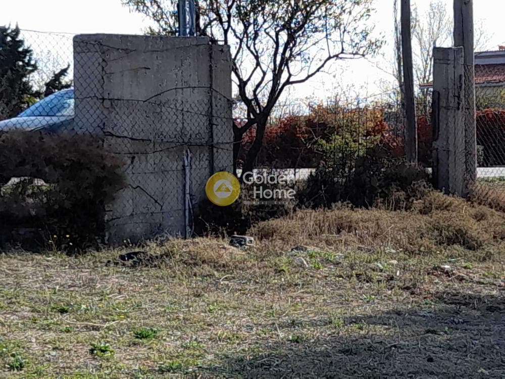 Μονοκατοικία στην Μικροχώρι, Κ. Καπανδριτίου — Φωτογραφία 5 από 8