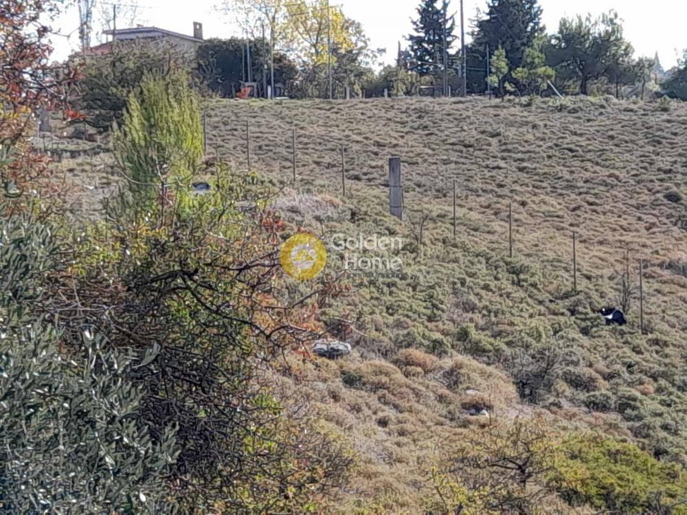Μονοκατοικία στην Μικροχώρι, Κ. Καπανδριτίου — Φωτογραφία 7 από 8