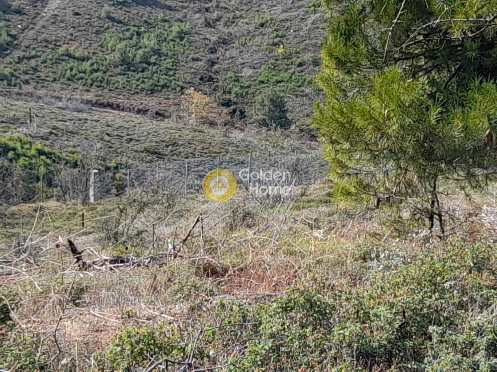 Μονοκατοικία στην Μικροχώρι, Κ. Καπανδριτίου — Φωτογραφία 6 από 8