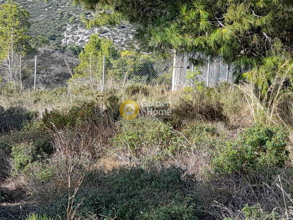 Μονοκατοικία στην Μικροχώρι, Κ. Καπανδριτίου — Φωτογραφία 8 από 8