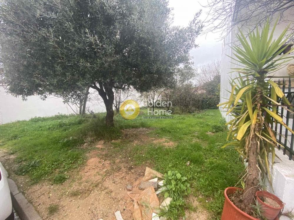 Οικόπεδο στην Πευκάκια, Αγία Παρασκευή