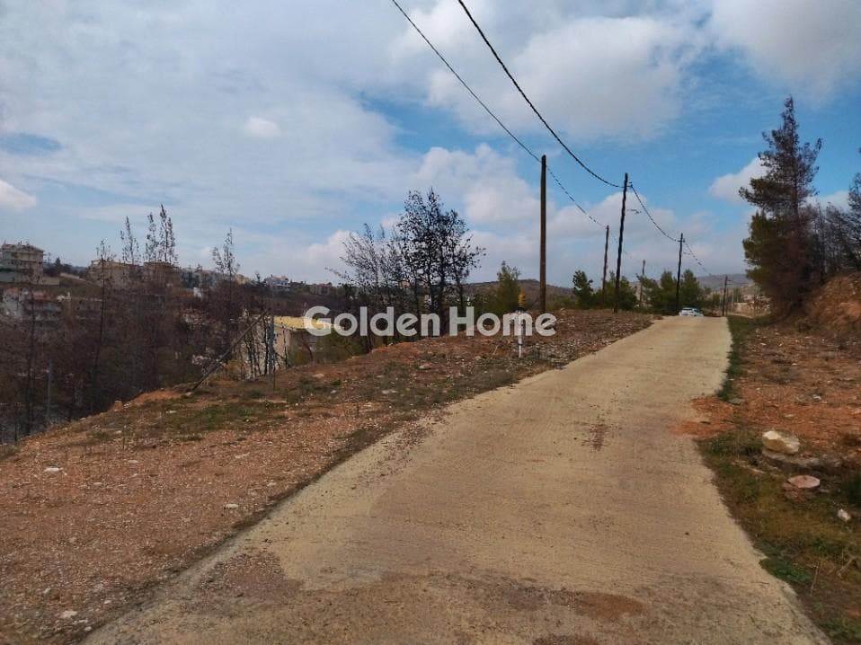 Οικόπεδο στην Δασαμάρι, Πικέρμι — Φωτογραφία 1 από 4