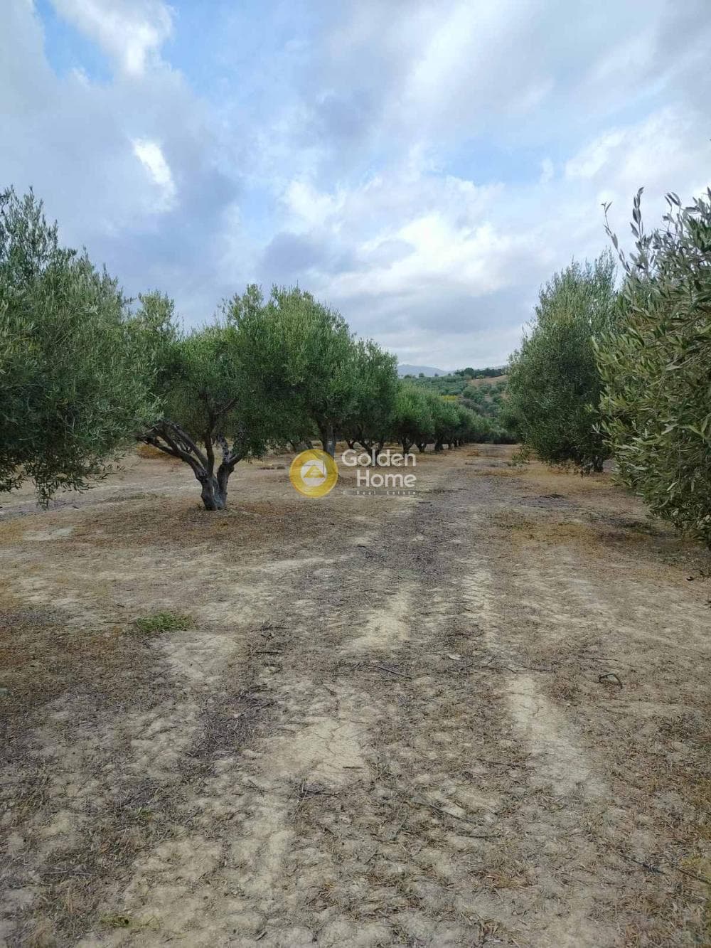 Αγροτεμάχιο στην Κάτω Καλέσια, Τέμενος — Φωτογραφία 1 από 7