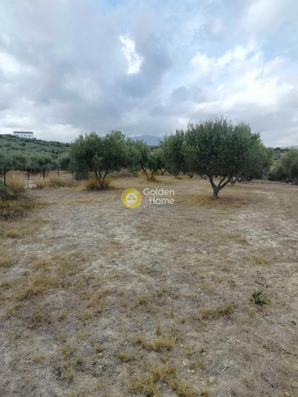 Αγροτεμάχιο στην Κάτω Καλέσια, Τέμενος — Φωτογραφία 4 από 7
