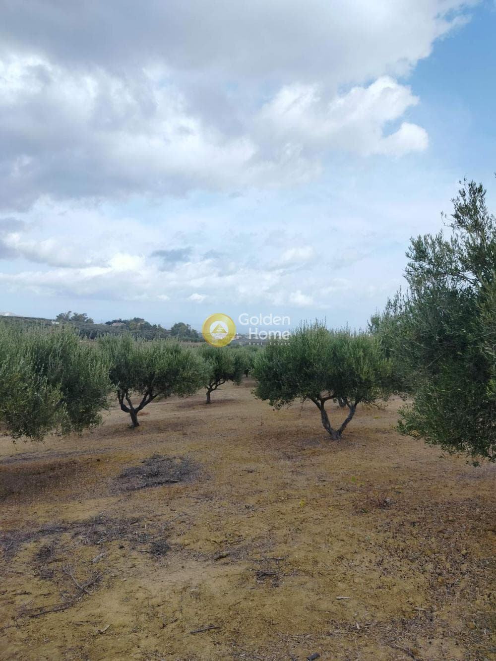Αγροτεμάχιο στην Κάτω Καλέσια, Τέμενος — Φωτογραφία 5 από 7
