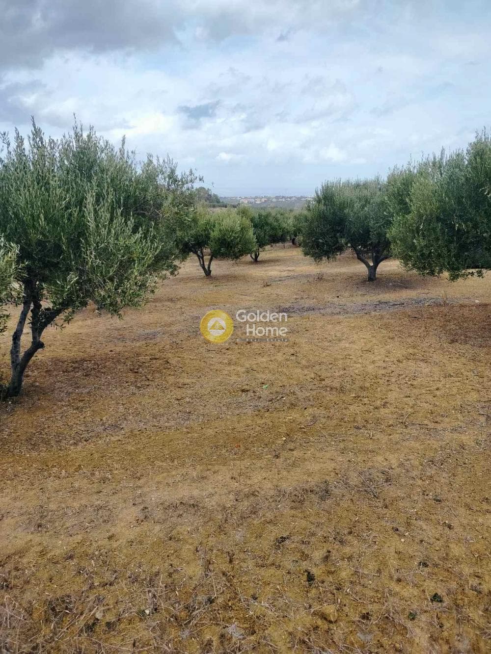 Αγροτεμάχιο στην Κάτω Καλέσια, Τέμενος — Φωτογραφία 7 από 7