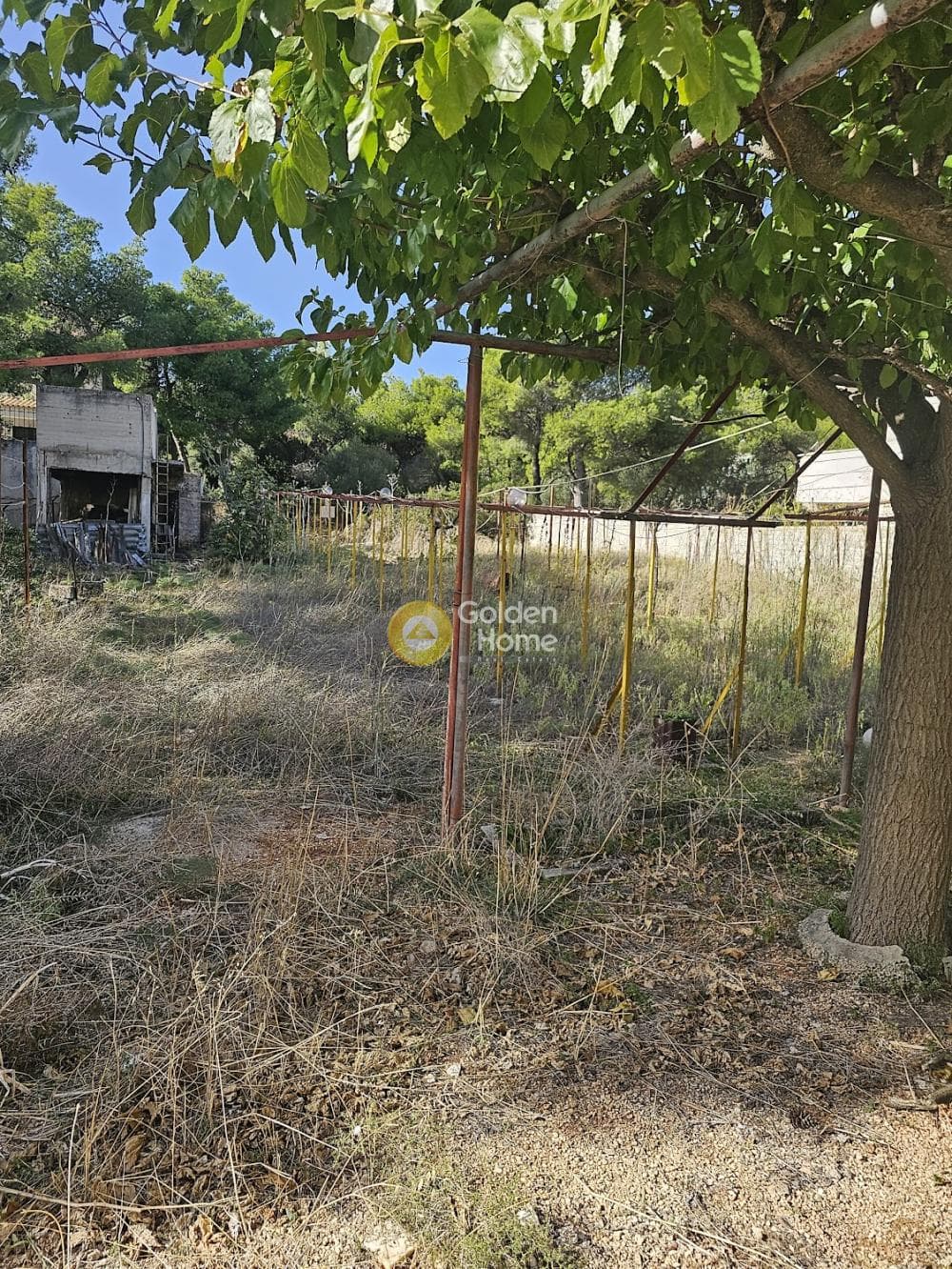 Building Plot in Megala Sxoinia A, Acharnes — Photo 2 of 12