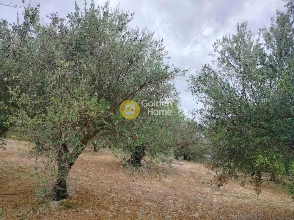 Οικόπεδο στην Κεραμούτσι, Τετραχώρι — Φωτογραφία 1 από 6