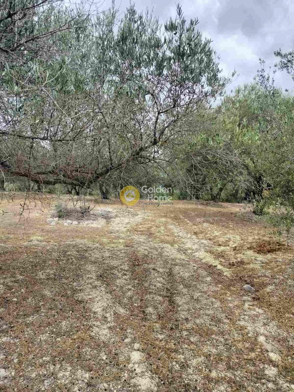 Οικόπεδο στην Κεραμούτσι, Τετραχώρι — Φωτογραφία 2 από 6
