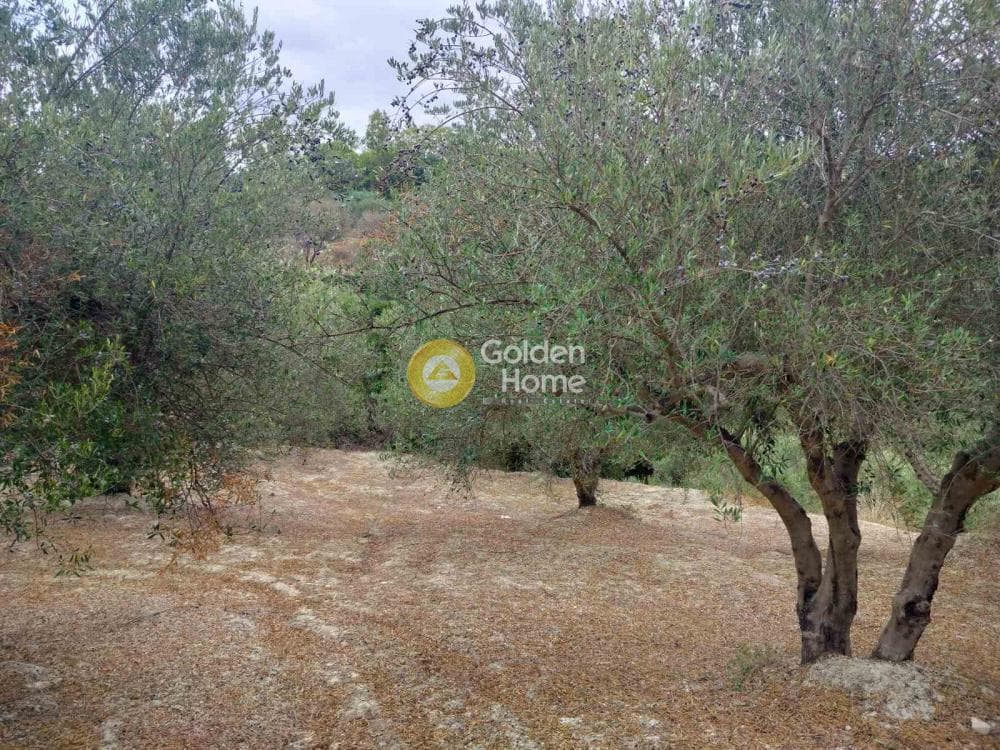 Οικόπεδο στην Κεραμούτσι, Τετραχώρι — Φωτογραφία 3 από 6