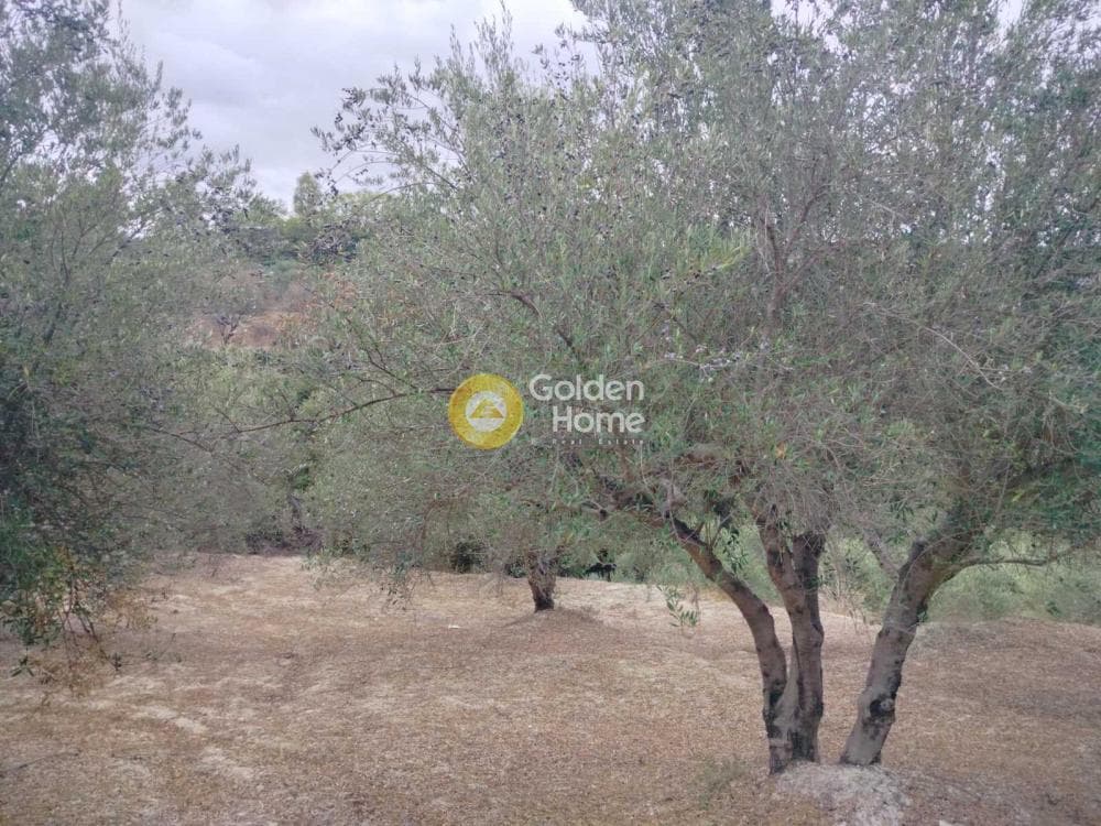 Οικόπεδο στην Κεραμούτσι, Τετραχώρι — Φωτογραφία 4 από 6