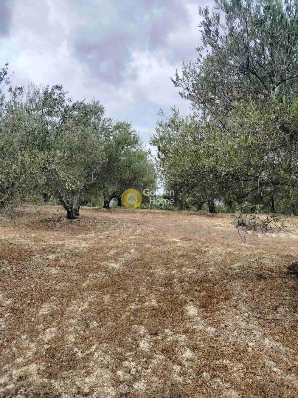 Οικόπεδο στην Κεραμούτσι, Τετραχώρι — Φωτογραφία 5 από 6