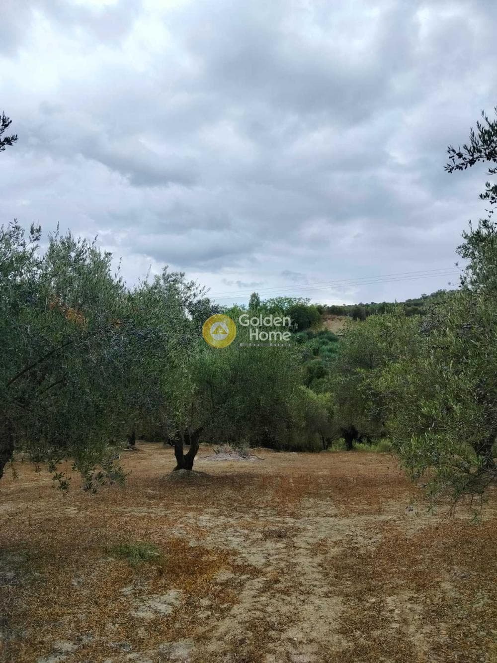 Οικόπεδο στην Κεραμούτσι, Τετραχώρι — Φωτογραφία 6 από 6
