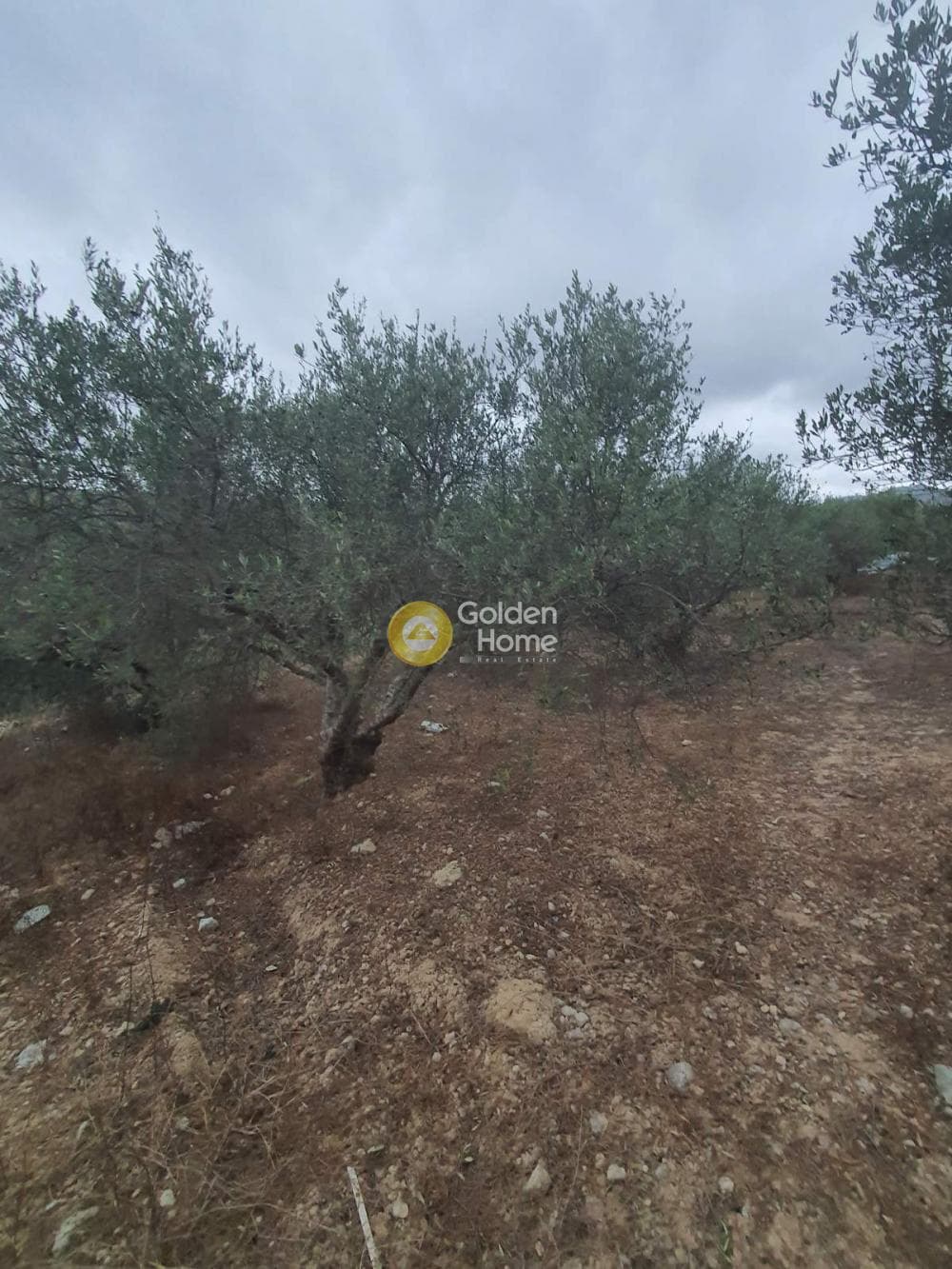 Οικόπεδο στην Επάνω Αρχάνες, Αρχάνες — Φωτογραφία 1 από 3