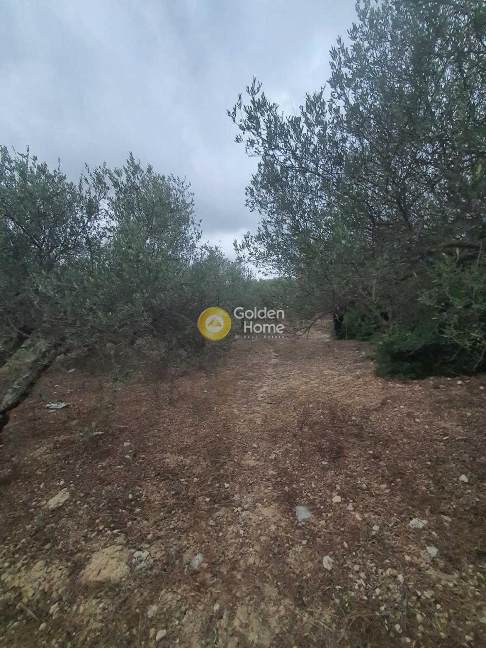 Οικόπεδο στην Επάνω Αρχάνες, Αρχάνες — Φωτογραφία 2 από 3