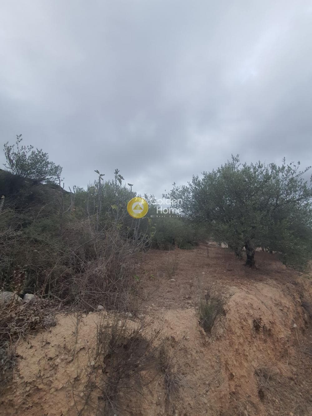 Οικόπεδο στην Επάνω Αρχάνες, Αρχάνες — Φωτογραφία 3 από 3