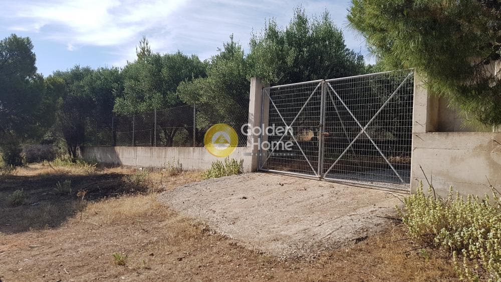 Οικόπεδο στην Αγία Μαρίνα Νέας Μάκρης, Νέα Μάκρη — Φωτογραφία 2 από 5