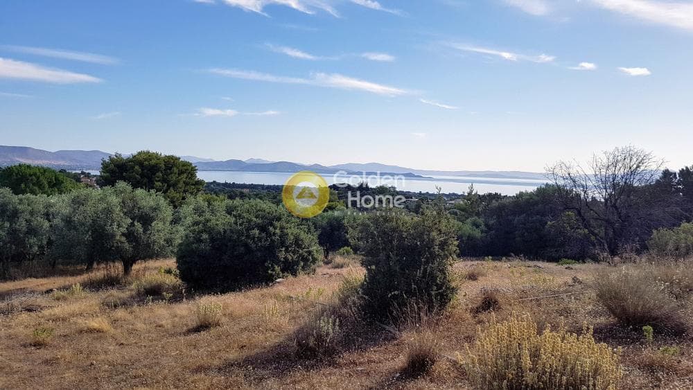 Οικόπεδο στην Αγία Μαρίνα Νέας Μάκρης, Νέα Μάκρη — Φωτογραφία 1 από 5
