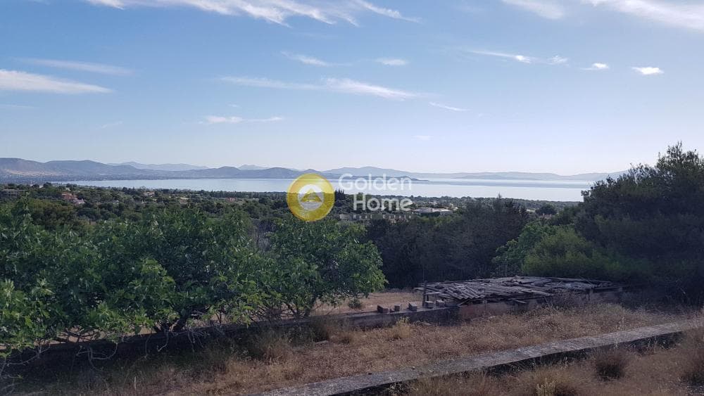 Οικόπεδο στην Αγία Μαρίνα Νέας Μάκρης, Νέα Μάκρη — Φωτογραφία 5 από 5