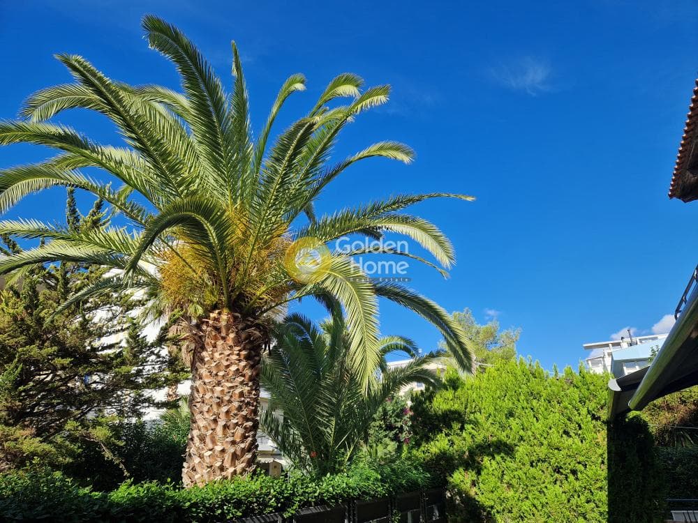 Μονοκατοικία στην Κάτω Γλυφάδα, Γλυφάδα — Φωτογραφία 30 από 30