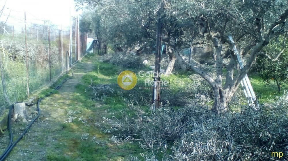 Building Plot in Monochoro, Moires — Photo 1 of 3
