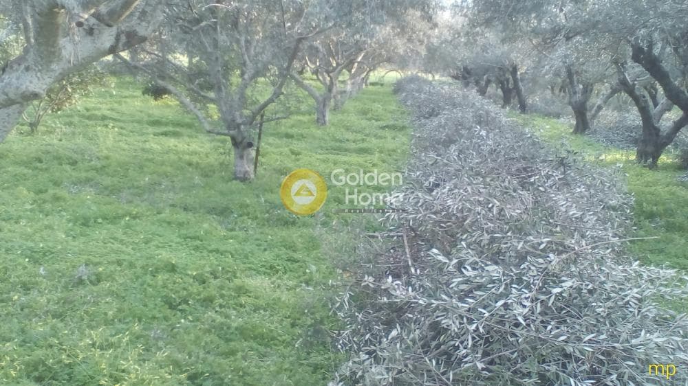 Building Plot in Monochoro, Moires — Photo 3 of 3