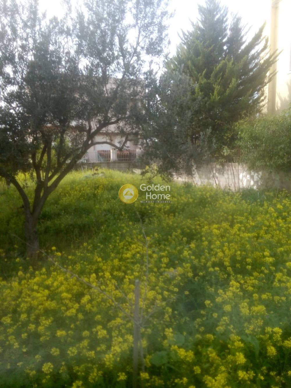 Οικόπεδο στην Πυργούθι, Αχαρνές — Φωτογραφία 1 από 3