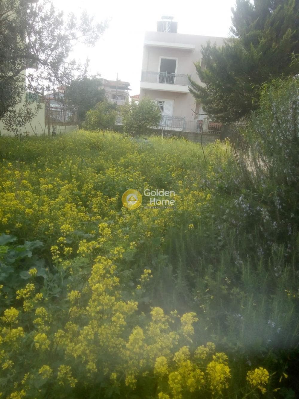 Οικόπεδο στην Πυργούθι, Αχαρνές — Φωτογραφία 2 από 3