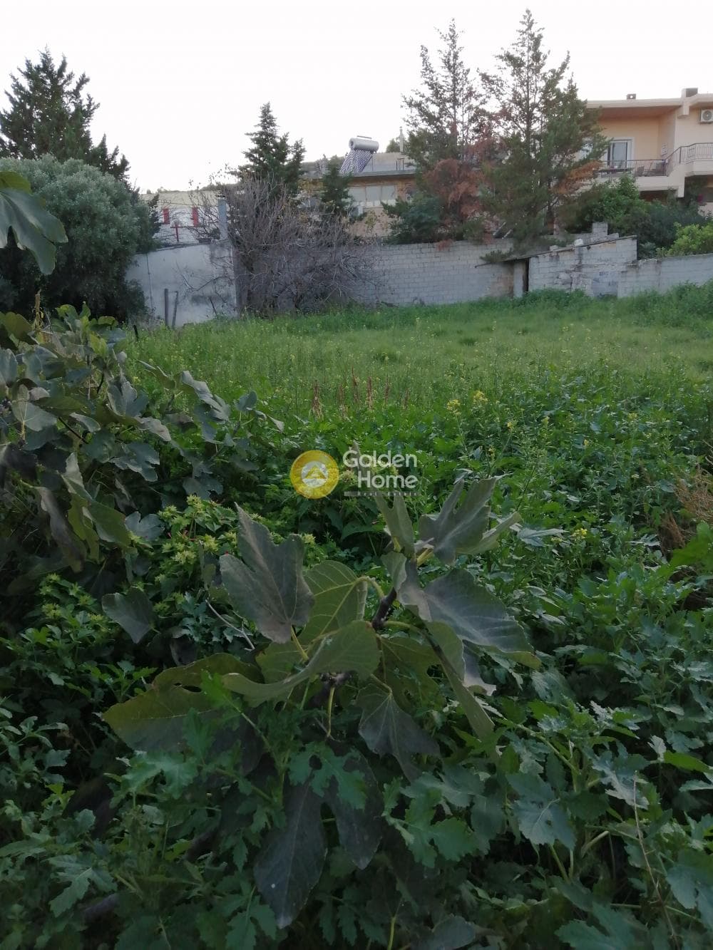 Οικόπεδο στην Λεωφ. Βάρης Κορωπίου, Κορωπί — Φωτογραφία 10 από 10