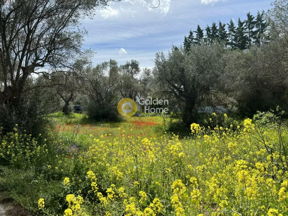 Building Plot in Neapoli, Spata — Photo 1 of 5
