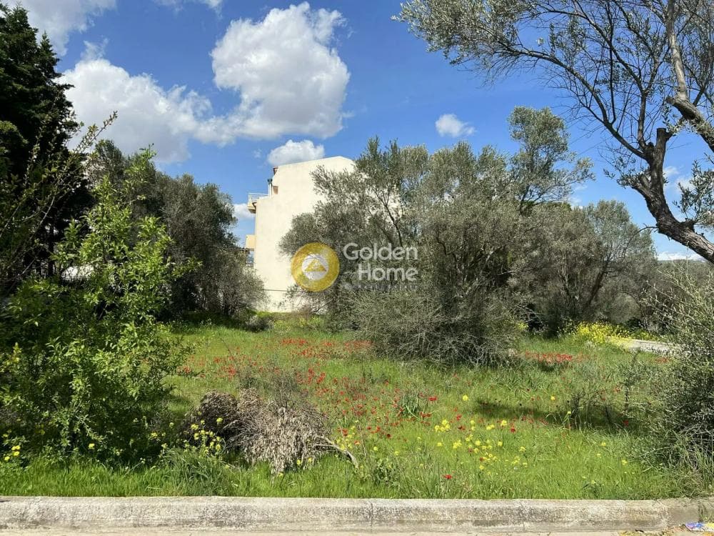 Building Plot in Neapoli, Spata — Photo 3 of 5