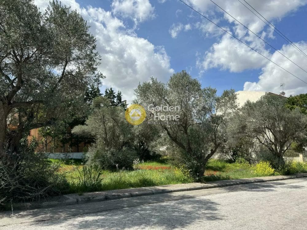 Building Plot in Neapoli, Spata — Photo 5 of 5