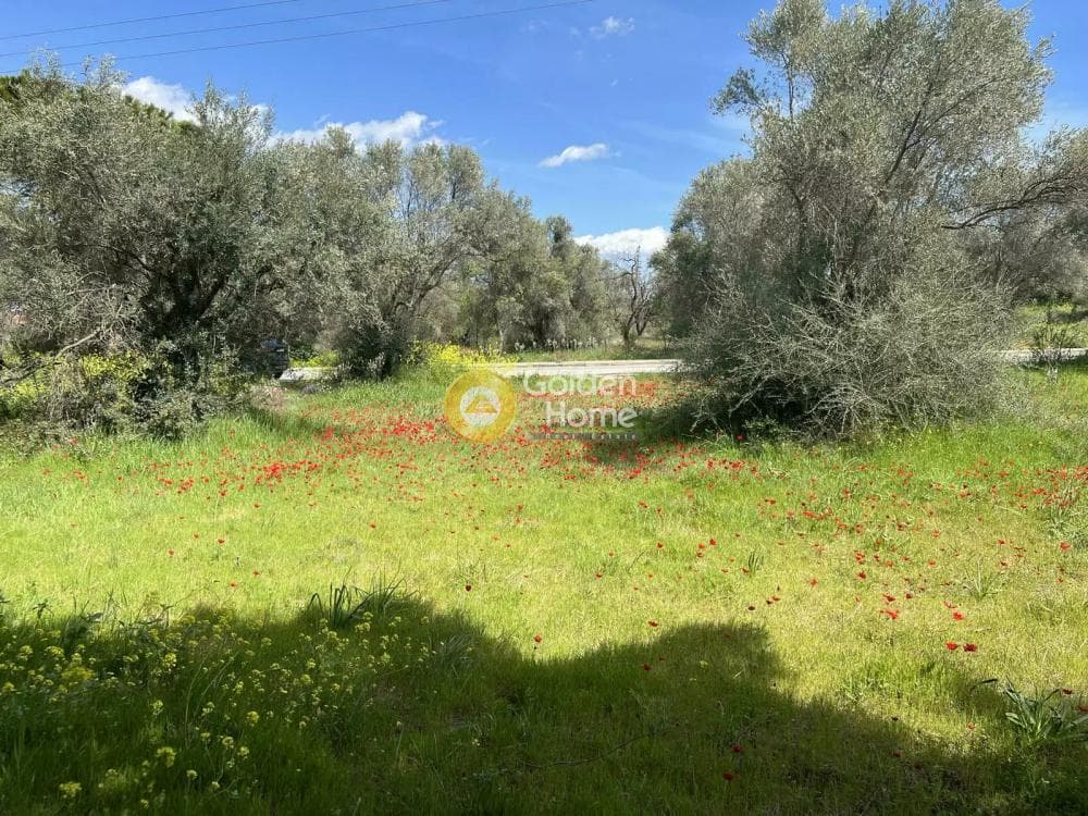 Building Plot in Neapoli, Spata — Photo 2 of 5