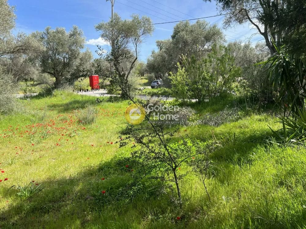 Building Plot in Neapoli, Spata — Photo 4 of 5