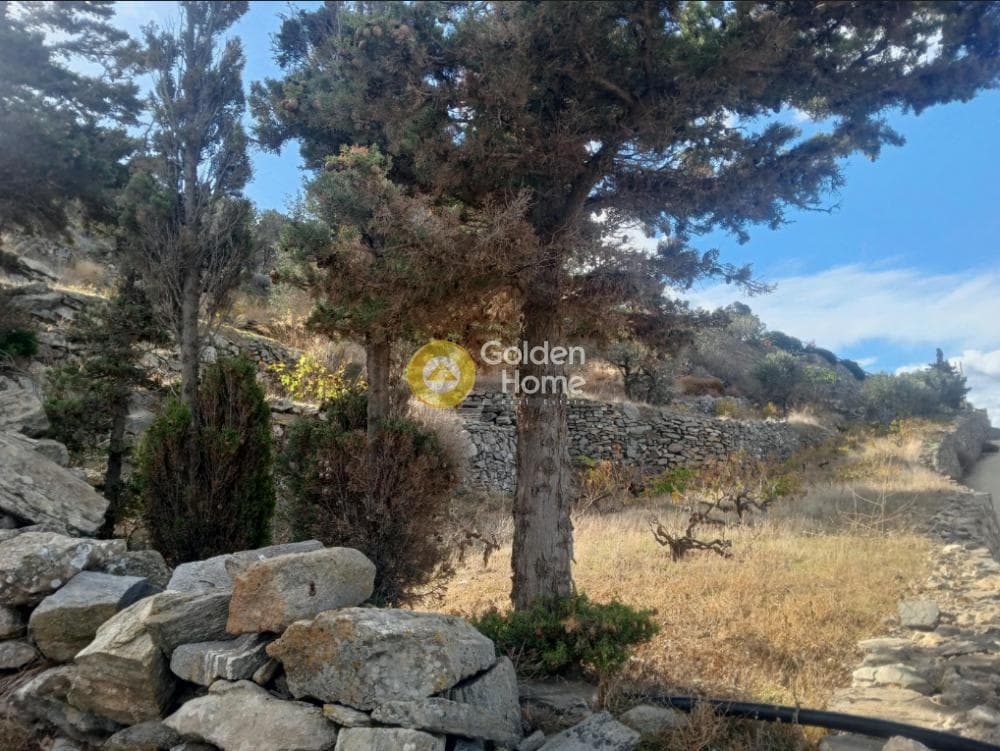 Parcel in Kakapetra, Paros — Photo 6 of 14