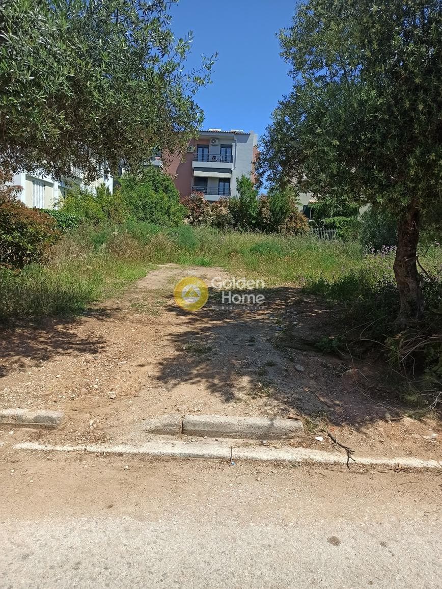 Οικόπεδο στην Πάτημα, Χαλάνδρι — Φωτογραφία 5 από 5