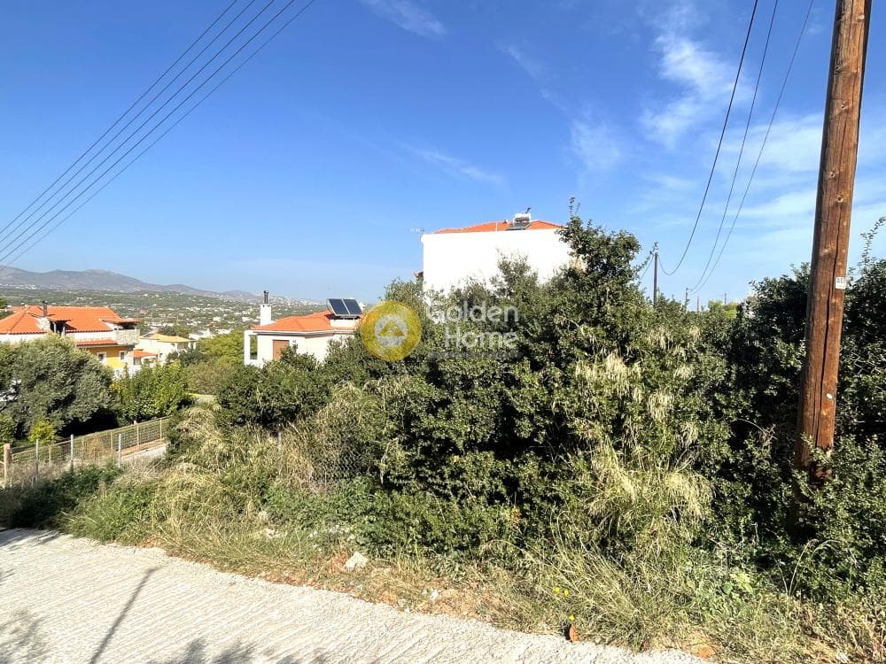 Οικόπεδο στην Βορινέζα, Αρτέμιδα (Λούτσα) — Φωτογραφία 1 από 5