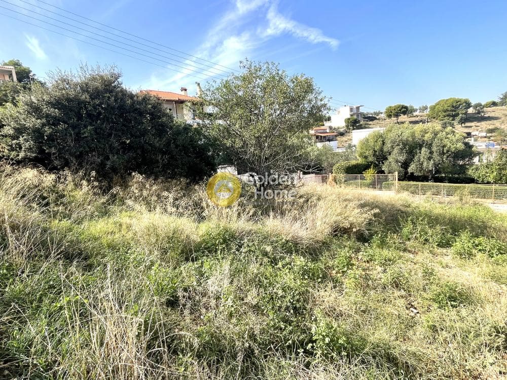 Οικόπεδο στην Βορινέζα, Αρτέμιδα (Λούτσα) — Φωτογραφία 4 από 5
