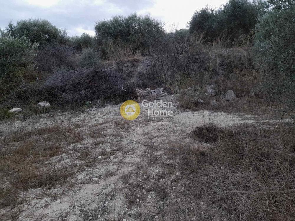 Οικόπεδο στην Κάτω Αρχάνες, Αρχάνες — Φωτογραφία 2 από 6