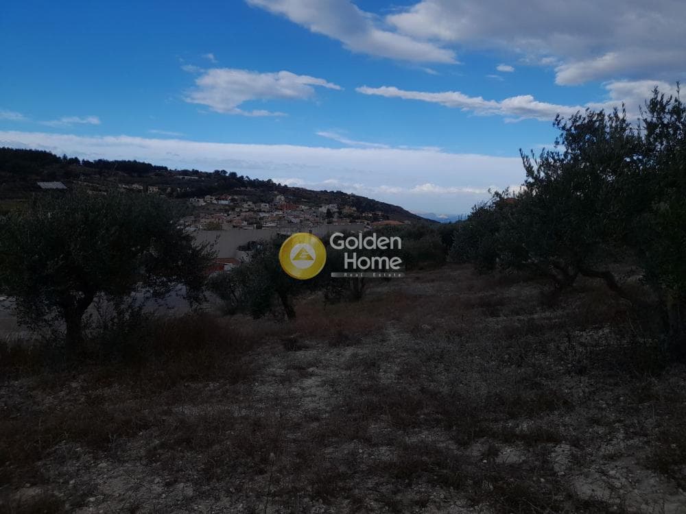 Οικόπεδο στην Κάτω Αρχάνες, Αρχάνες — Φωτογραφία 3 από 6