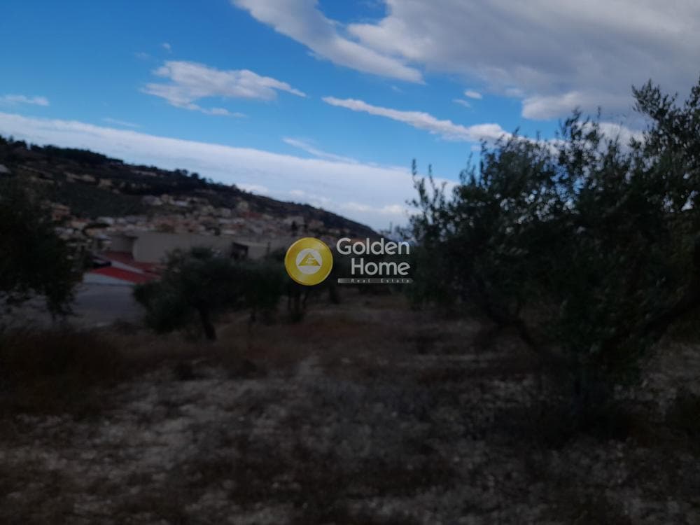 Οικόπεδο στην Κάτω Αρχάνες, Αρχάνες — Φωτογραφία 4 από 6