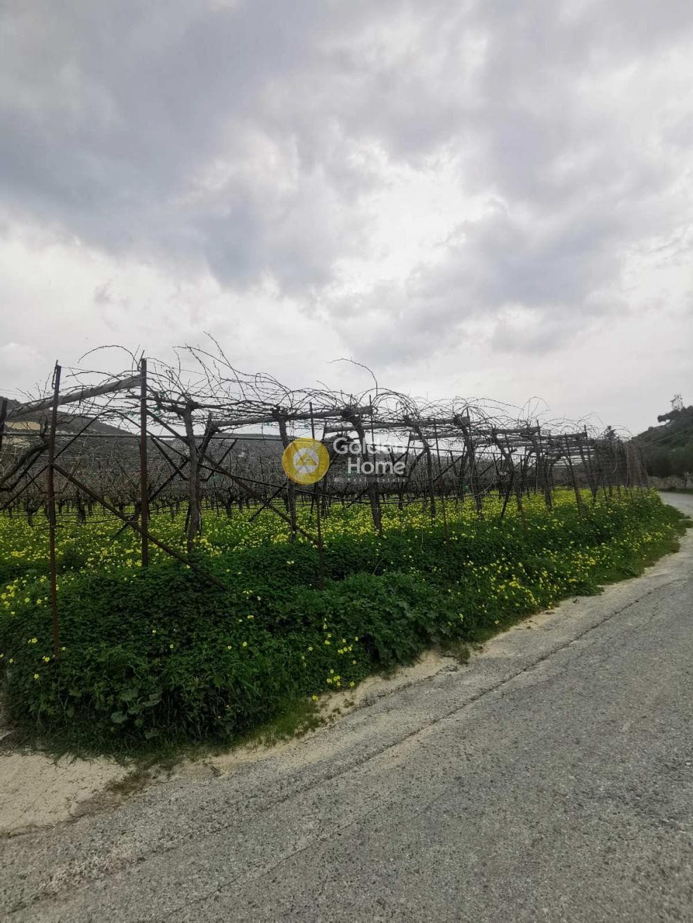 Οικόπεδο στην Μαλάδες, Τέμενος — Φωτογραφία 1 από 5