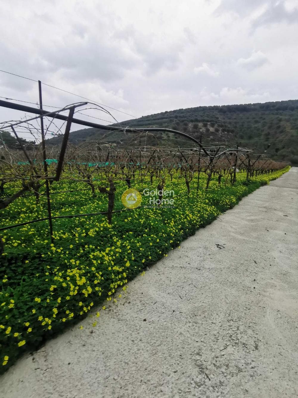 Οικόπεδο στην Μαλάδες, Τέμενος — Φωτογραφία 2 από 5