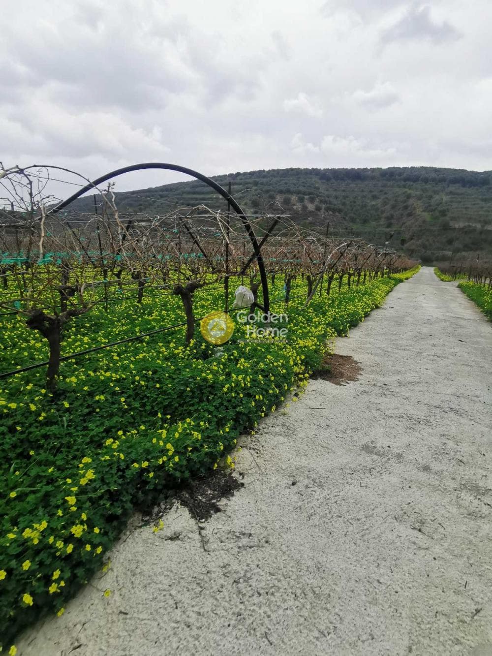 Οικόπεδο στην Μαλάδες, Τέμενος — Φωτογραφία 4 από 5