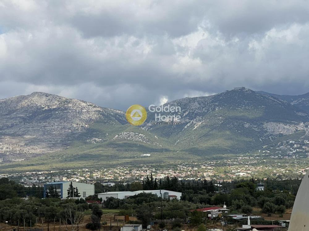 Μονοκατοικία στην Αδάμες (Οικισμός Γράμμος - Φοίνικας), Κηφισιά — Φωτογραφία 23 από 45
