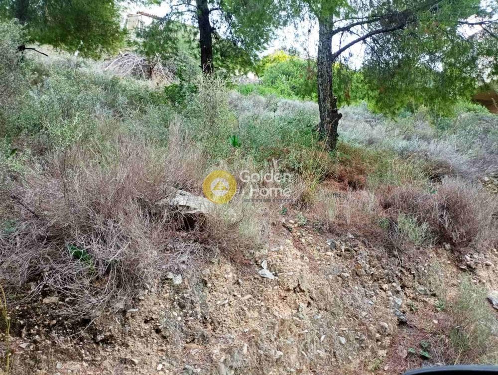 Building Plot in Kolones, Salamina — Photo 1 of 2