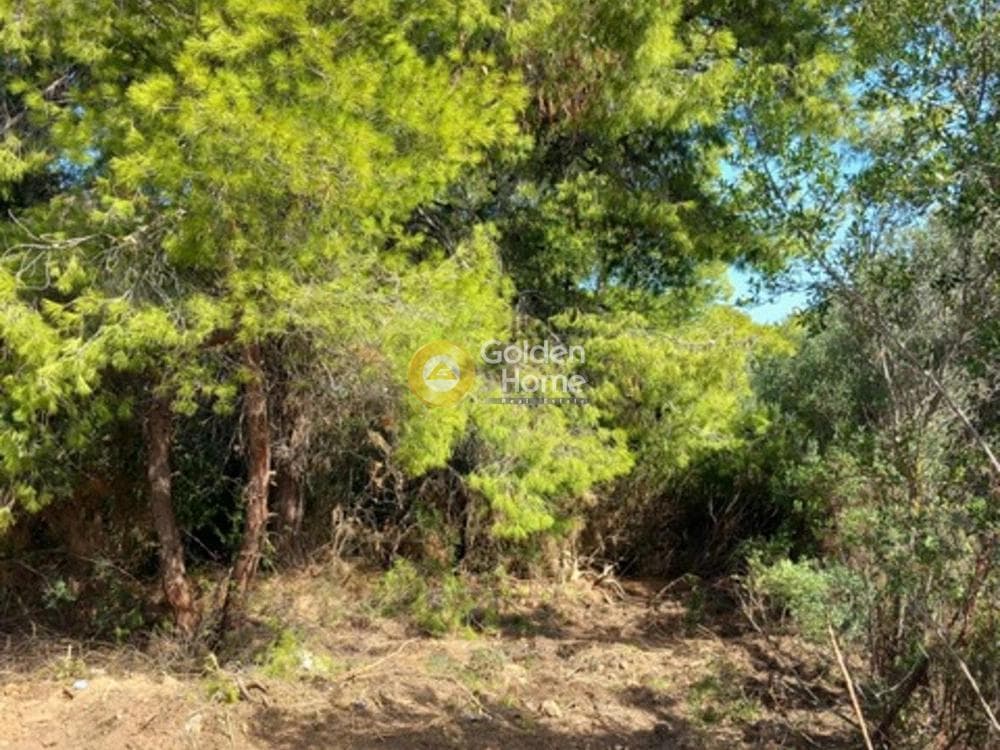 Building Plot in Panorama, Rafina
